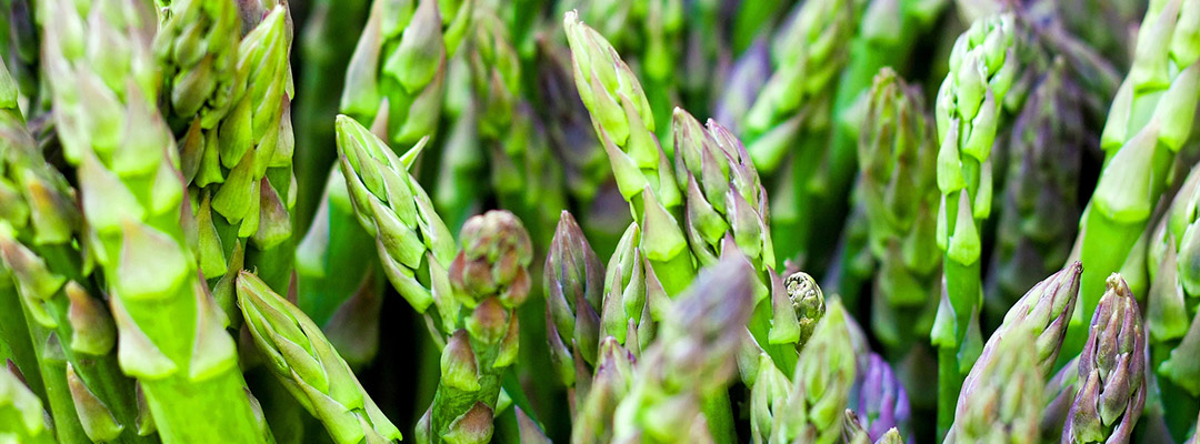 Asparagus, Fresh Ingredients Used By Chef Ellen English