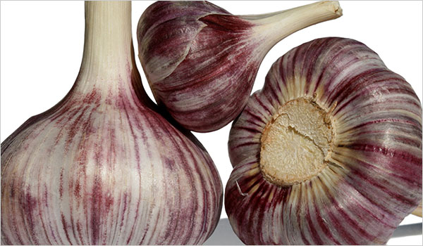 Garlic, Fresh Ingredients With Chef Ellen English