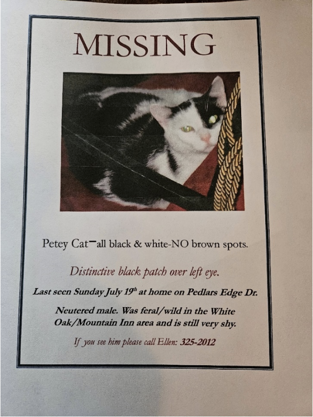 Missing cat flyer for when Petey the cat went missing